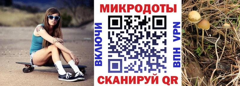 Галлюциногенные грибы Psilocybe  KRAKEN рабочий сайт  Добрянка 